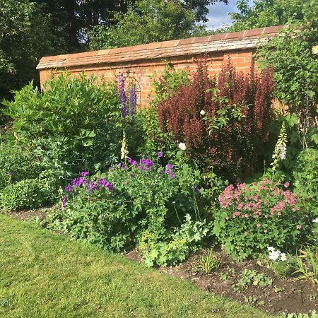 Garden Cottage B&b Penton Mewsey Exterior foto