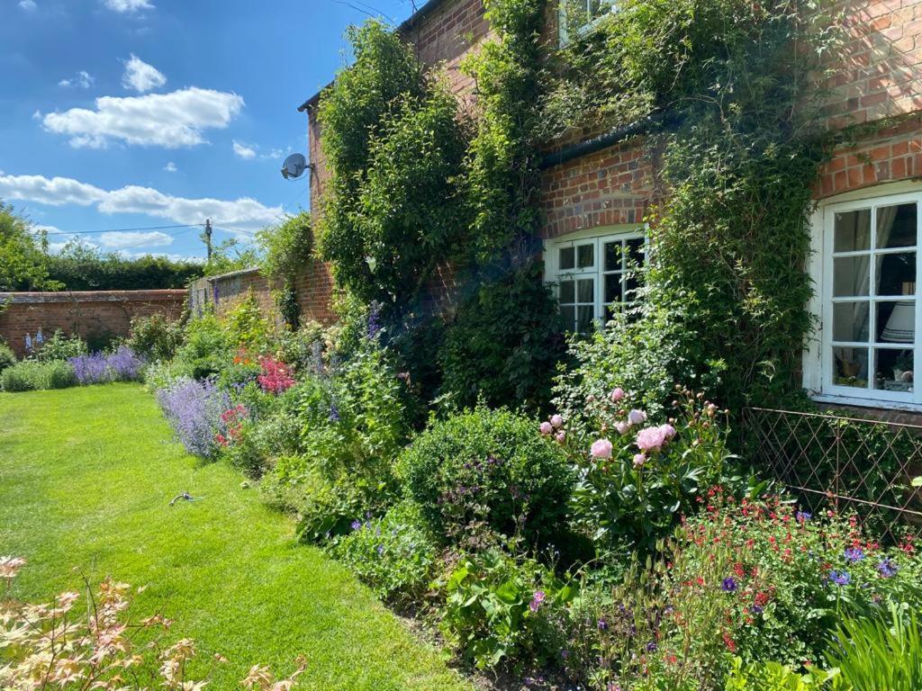 Garden Cottage B&b Penton Mewsey Exterior foto